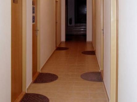 Pronájem - kanceláře, 19 m²
