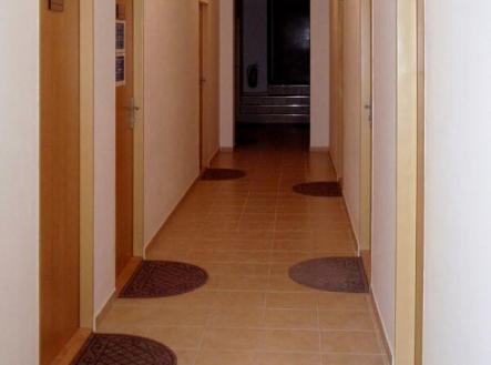 Pronájem - kanceláře, 19 m²