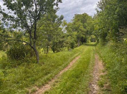 Obrázek WhatsApp, 2025-06-25 v 14.06.02_dafcc1ce.jpg | Prodej - pozemek pro bydlení, 1 068 m²