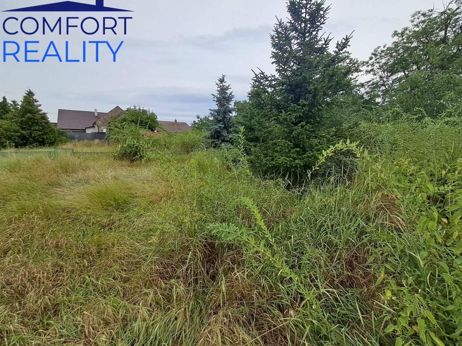 Obrázek WhatsApp, 2025-07-09 v 12.47.17_9de23bcd.jpg