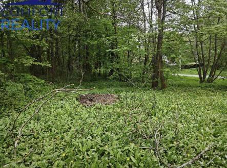 IMG_20260509_111513.jpg | Prodej - pozemek pro bydlení, 637 m²