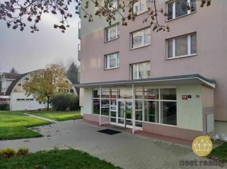 Prodej bytu, 1+kk, 28 m²