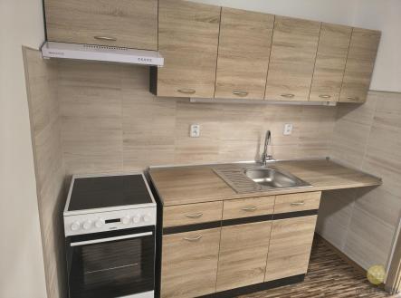 Pronájem bytu, 1+1, 45 m²