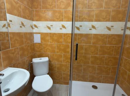 Pronájem bytu, 1+1, 45 m²