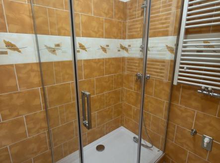 Pronájem bytu, 1+1, 45 m²