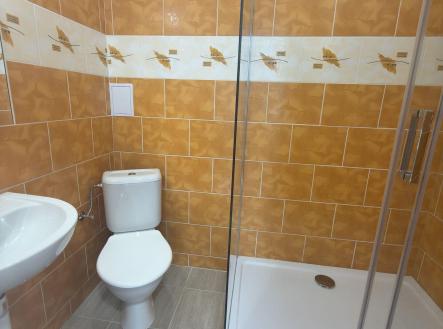 Pronájem bytu, 1+1, 42 m²