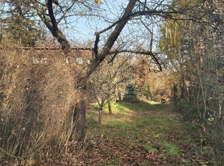 Prodej - pozemek pro bydlení, 1 166 m²