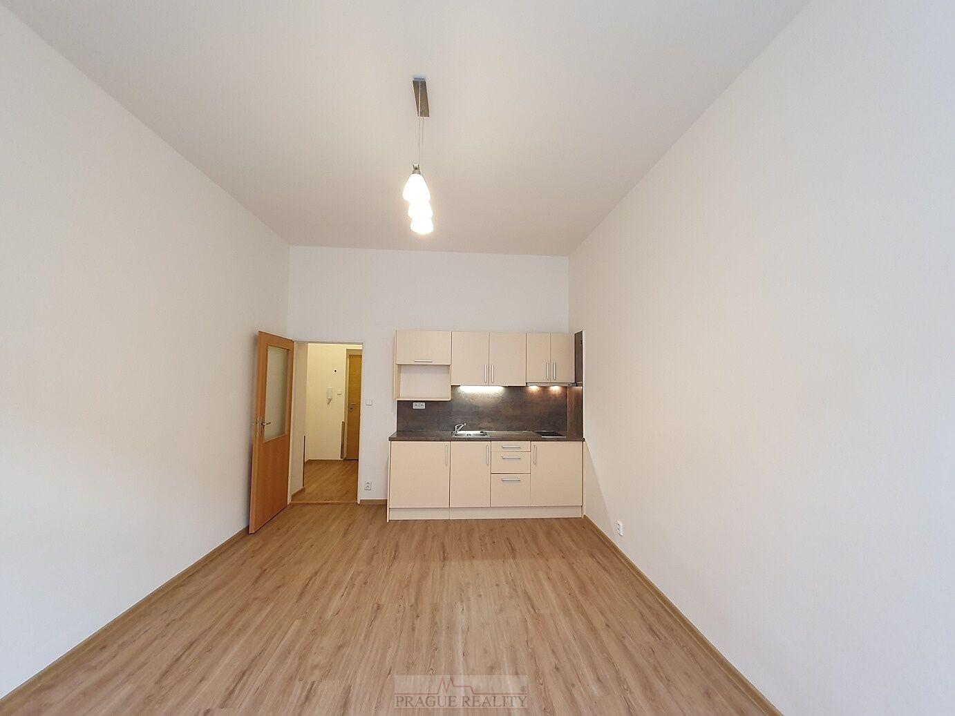 Prostorné 1+kk po rekonstrukci, P3 Žižkov, rezidence Roháčova