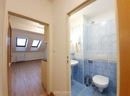 Pronájem bytu, 1+kk, 22 m² obrázek
