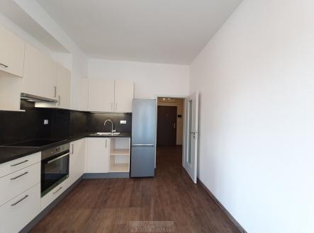 Pronájem bytu, 1+kk, 48 m²