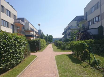 Pronájem bytu, 2+kk, 68 m² obrázek