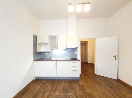 Pronájem bytu, 1+kk, 19 m² obrázek