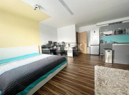 Prodej bytu, 1+kk, 43 m² obrázek