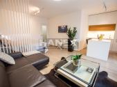 Pronájem bytu, 1+kk, 48 m²