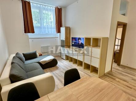 Světlý obývací pokoj s parketovou podlahou, velká okna a moderní nábytek. | Prodej bytu, 2+1, 47 m²