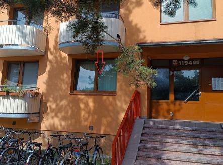 Pronájem - jiné, 29 m²