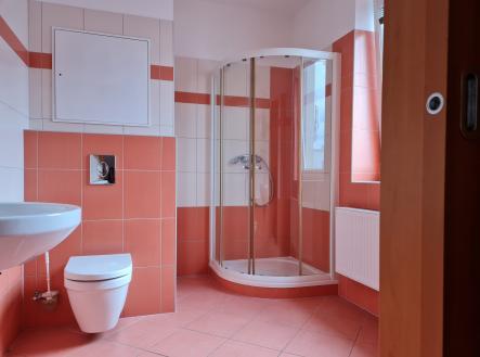 3 pronájem 1+kk Křepelčí pokoj s kk | Pronájem bytu, 1+kk, 32 m²