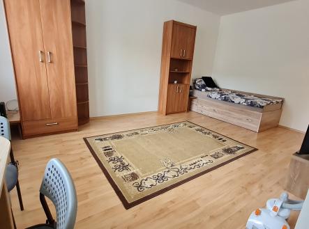 3 pokoj 2 | Pronájem bytu, 1+kk, 27 m²