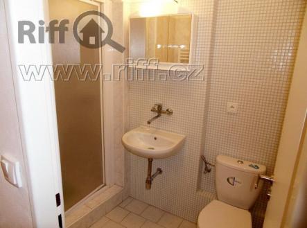 biu.jpg | Pronájem bytu, 1+kk, 18 m²