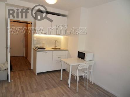 diz.jpg | Pronájem bytu, 1+kk, 18 m²
