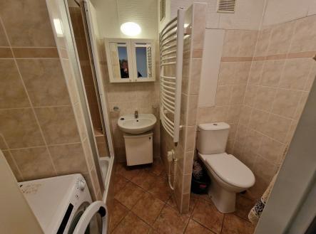 20260409_161357 | Pronájem bytu, 1+1, 46 m²