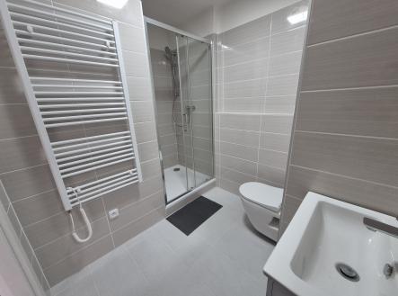 5 koupelna | Pronájem bytu, 1+1, 40 m²