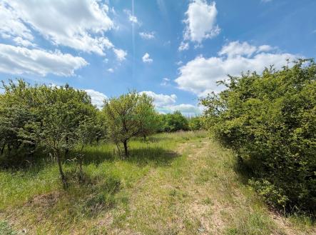 foto: 1 | Prodej - pozemek, zemědělská půda, 5 755 m²
