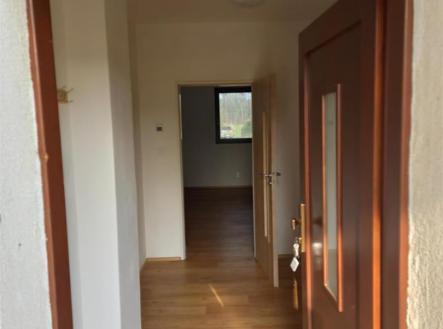 Předsí | Pronájem bytu, atypický, 71 m²