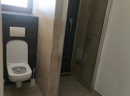 WC | Pronájem - dům/vila, 98 m²