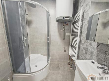 02.jpg | Pronájem bytu, 1+kk, 30 m²