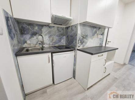04.jpg | Pronájem bytu, 1+kk, 30 m²