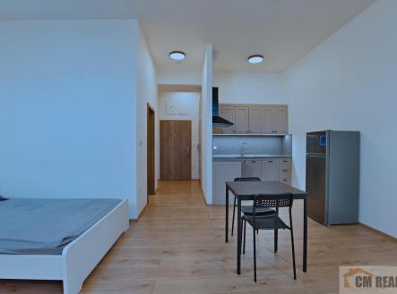 N_pokoj.jpg | Pronájem bytu, 1+kk, 45 m²