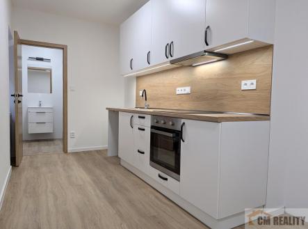 Pronájem bytu, 1+kk, 24 m² obrázek