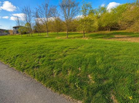 Prodej - pozemek pro bydlení, 6 562 m²