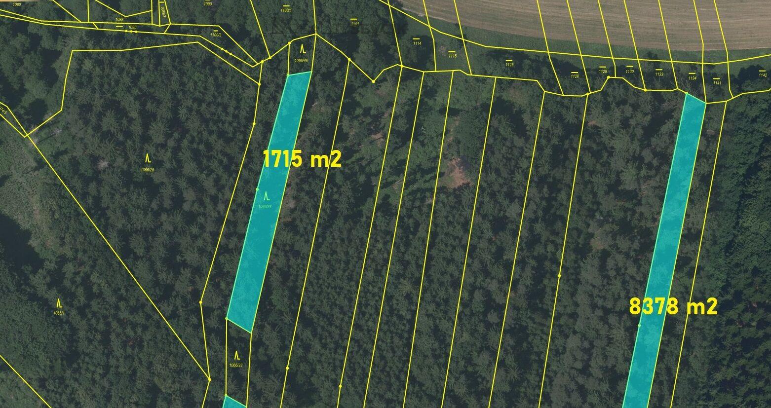 Prodej lesních pozemků o výměře 18018 m2 v k.ú. Srubec, okres České Budějovie