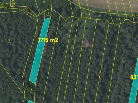 Prodej - pozemek, les, 18 018 m²