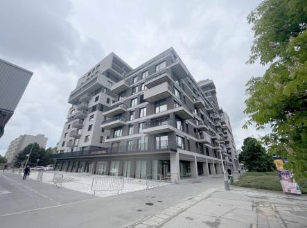 Pronájem - kanceláře, 19 m² obrázek