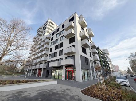 Bez popisku | Pronájem - obchodní prostor, 248 m²