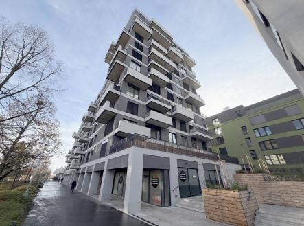 Bez popisku | Pronájem - obchodní prostor, 248 m²