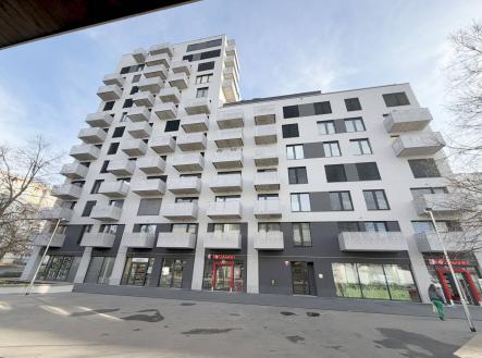 Bez popisku | Pronájem - obchodní prostor, 248 m²