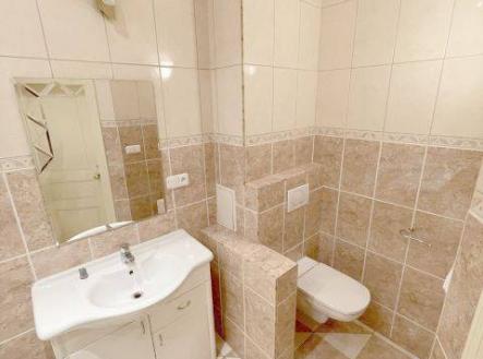 Bez popisku | Pronájem bytu, 1+1, 53 m²