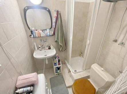 Bez popisku | Pronájem bytu, 1+kk, 30 m²