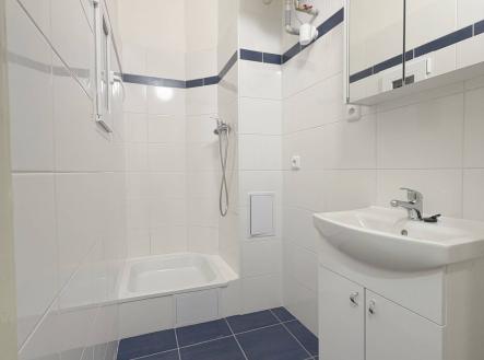 Bez popisku | Pronájem bytu, 1+kk, 28 m²