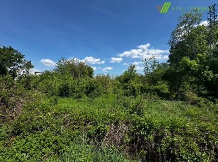 UJOF8781 | Pronájem - pozemek, ostatní, 4 713 m²