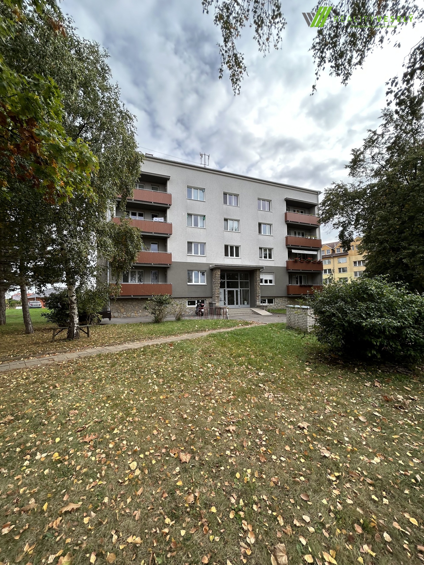 celýdům