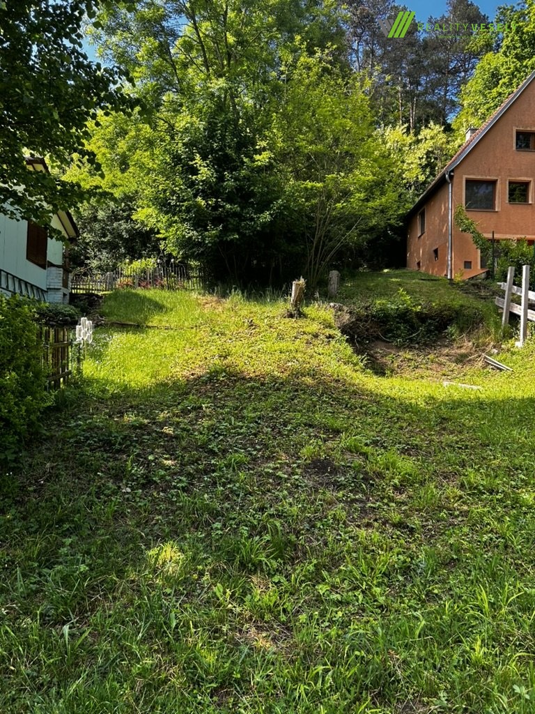 FFAB266F-0B76-402F-9CF9-03F3BF6A001C_1_105_c