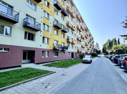 IMG_8412 | Pronájem bytu, 1+1, 26 m²