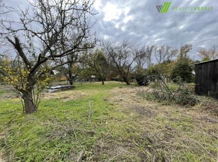 IMG_7844 | Prodej - pozemek, zahrada, 710 m²