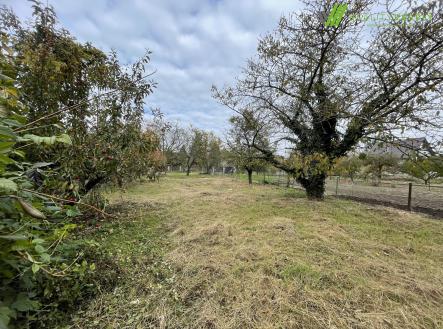 IMG_7847 | Prodej - pozemek, zahrada, 710 m²