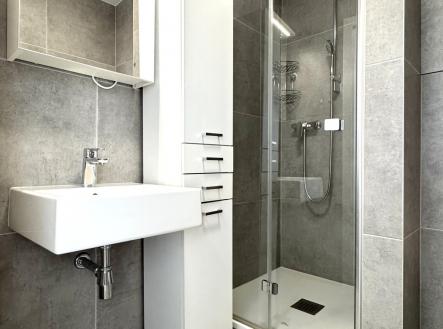 IMG_9284 | Pronájem bytu, 2+kk, 40 m²